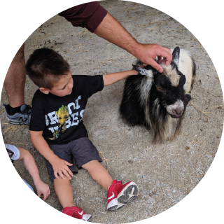 Child with an animal with black fur & white stripes