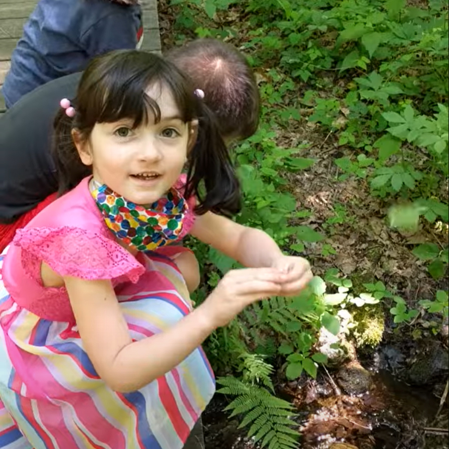 preschoolers looking at nature