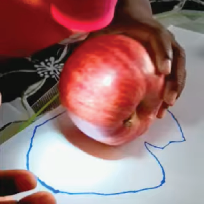 Child makes animal shadows with his hand and then makes and traces an apple shadow