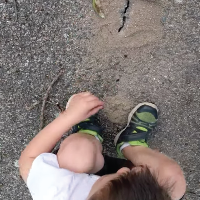 Toddler and family observe ants