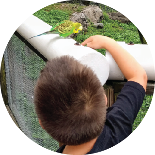 Boy at zoo almost touching a bird