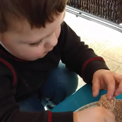 Toddler digging for baby beetles